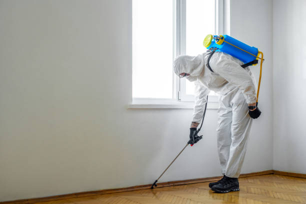 Best Residential Pest Control  in Bohners Lake, WI