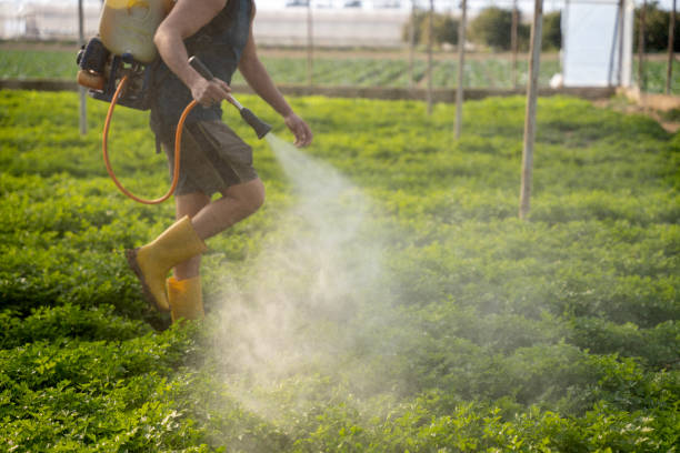 Best Affordable Pest Control Services  in Bohners Lake, WI