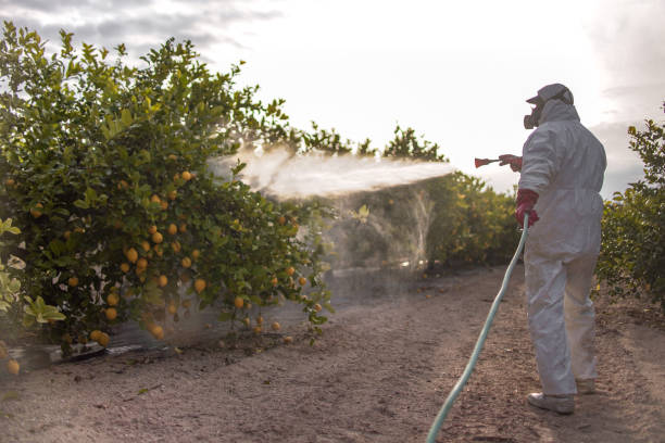 Best Pest Removal Services  in Bohners Lake, WI