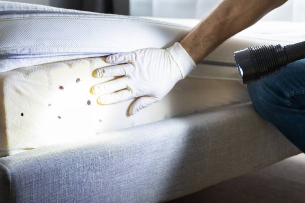 Best Pest Prevention Services  in Bohners Lake, WI