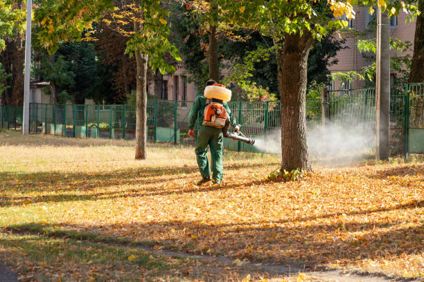 Best Bed Bug Extermination  in Bohners Lake, WI